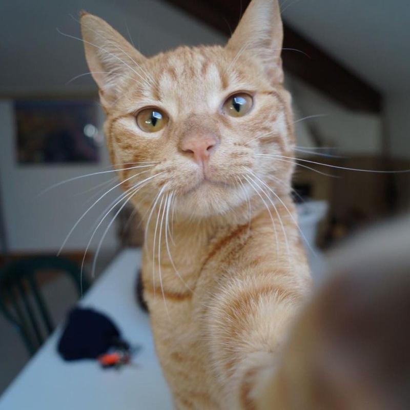 Ambulatorio veterinario I SENTIERI Dott. Riccardo Cervelli